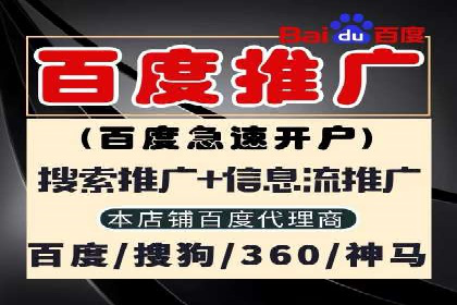 百度竞价赚钱技巧：案例分析
